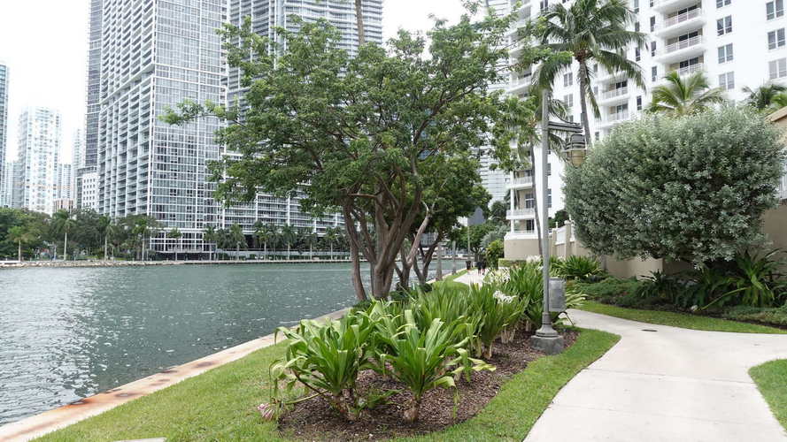 MIA_2023-08-21 14-18-31_RX_06309